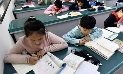 中小學課后服務全面鋪開，教育咨詢助力家長滿意度提升